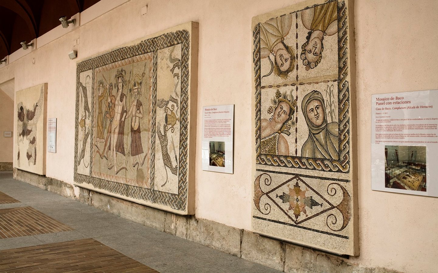 Museo Arqueológico Regional de Alcalá de Henares - ©Comunidad de Madrid